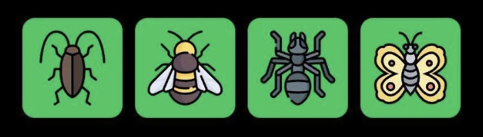 FLIES Daily Combo 2 June 2025